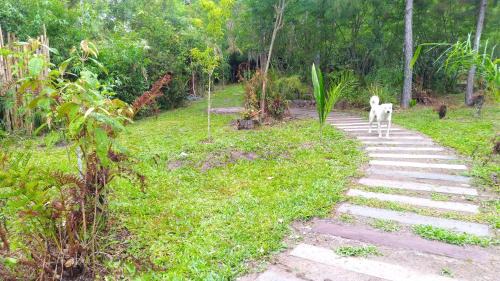 Sapiranga Other | Pet-Friendly Retreat: Choupana das Araucárias Awaits You!