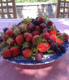 Albania House | Chri Chri Guesthouse: Top-Rated with Family-Friendly Amenities