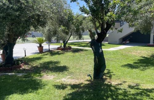 Neos Marmaras House | Pet-Friendly Christos House with Ocean Views & 10/10 Rating