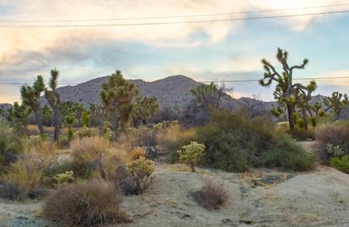 Yucca Valley House | Chromocamino Colorful Family Friendly Home!