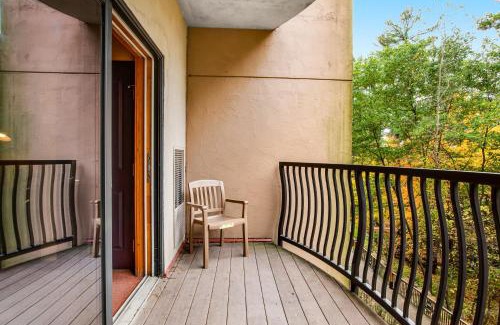 Wisconsin Dells Hotel | Family-Friendly Chula Vista Condo with Pet Amenities