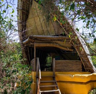 Chumbe Island Resort | Experience Paradise at Chumbe Island Coral Park