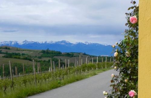 Dogliani House | Experience Cozy Holiday Homes in Dogliani, Italy