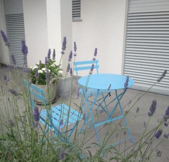 Alba Apartment | Family-Friendly Retreat at CICCI HOUSE Awaits You!