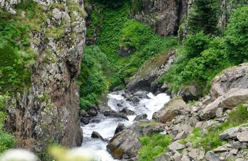 Camlihemsin House | Cozy Cicekli Pansiyon: Pet-Friendly Camping Experience