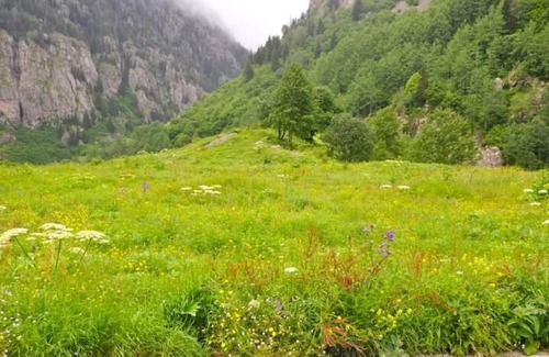 Camlihemsin House | Cozy Cicekli Pansiyon: Pet-Friendly Camping Experience