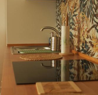 Pallanza Apartment | Ciceri Properties Dei Paritgiani