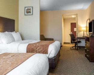 Cicero Hotel | Pet-Friendly Comfort Suites Cicero with Pool Access