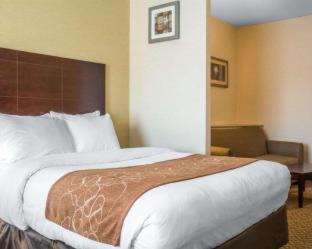Cicero Hotel | Pet-Friendly Comfort Suites Cicero with Pool Access