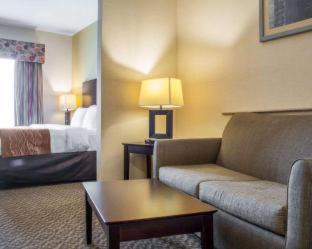 Cicero Hotel | Pet-Friendly Comfort Suites Cicero with Pool Access
