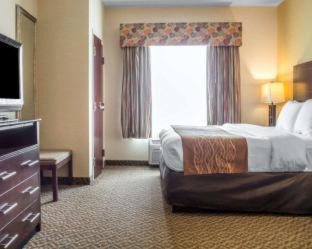 Cicero Hotel | Pet-Friendly Comfort Suites Cicero with Pool Access