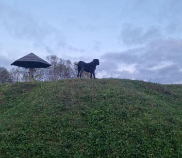 Idena House | Pet-Friendly Retreat at Cielavas ligzda for Families