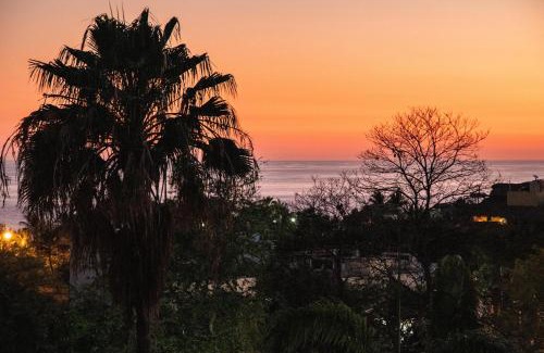 Rinconada Apartment | Discover Cielito Lindo Suites: Pet-Friendly Oasis by Ocean