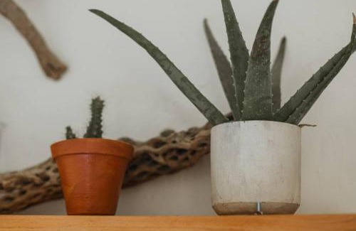 Todos Santos House | Experience Cien Palmas: Authentic Mexican Casita Downtown
