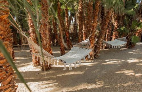 Todos Santos House | Experience Cien Palmas: Authentic Mexican Casita Downtown