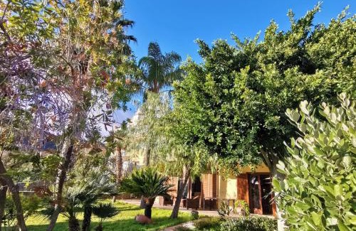 Ogliastro Marina Villa | Beachfront Villa in Cilento - Family & Pet Friendly Stay