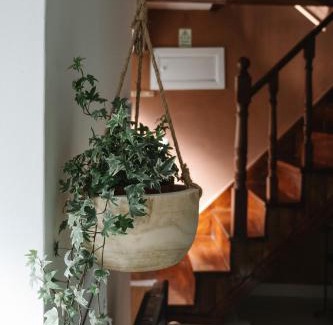 Vila Nova de Foz Coa House | Experience Cimo do Monte: Rustic Retreat in the Village