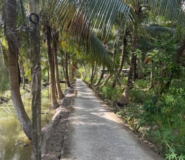 Cau Ke House | Cin Homestay