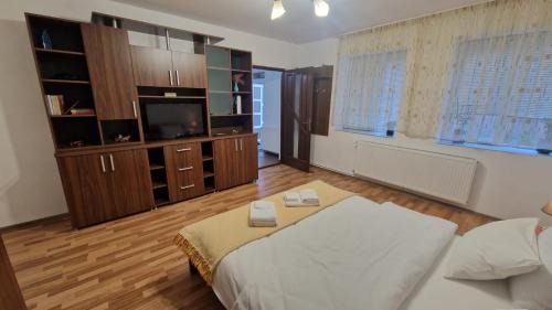 Oradea Apartment | Ciorogariu5