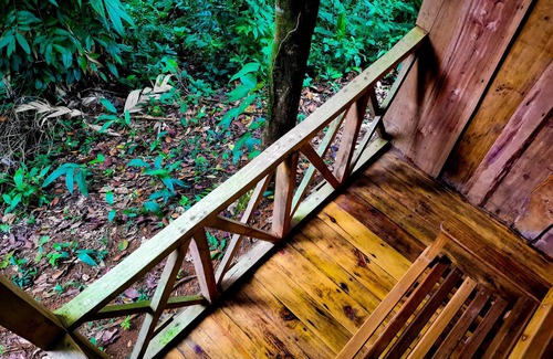 Drake Bay Cabin | Experience Citronela Lodge Corcovado with Ocean Views