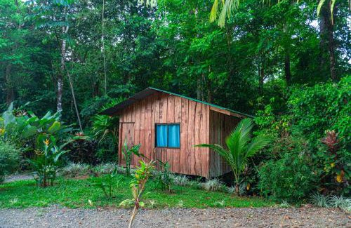 Drake Bay Hotel | Discover Citronela Lodge Corcovado with Oceanfront Views