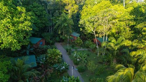 Drake Bay Hotel | Discover Citronela Lodge Corcovado with Oceanfront Views