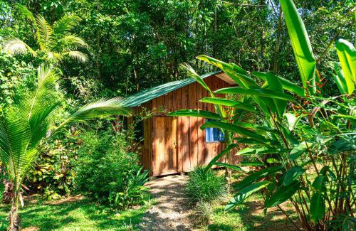 Drake Bay Hotel | Discover Citronela Lodge Corcovado with Oceanfront Views