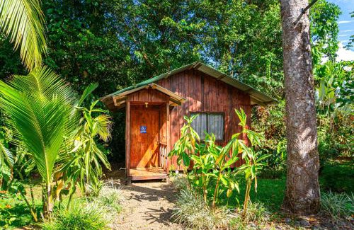 Drake Bay Hotel | Discover Citronela Lodge Corcovado with Oceanfront Views
