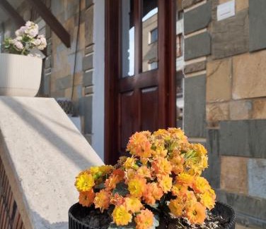Berat House | CitrusNest