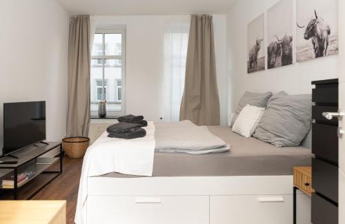 Zentrum-Nord Apartment | Pet-Friendly City Apartment near Zoo & Downtown Attractions