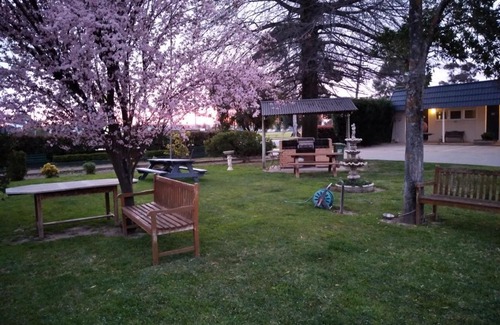 Wagga Wagga Hotel | Comfortable City Park Motel and Apartments with Family Amenities
