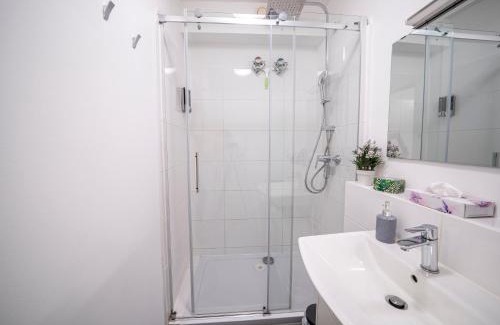 Mannheim Apartment | Convenient City Suite - Child-Friendly & Steps to HBF