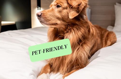 Kallio Hotel | Pet-Friendly Citybox Helsinki with Top 9/10 Guest Rating