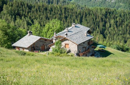 Marmora Ski Chalet | Discover Civico 2: Family & Pet-Friendly Getaway