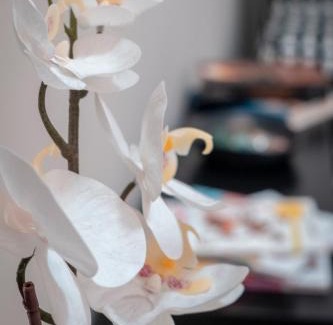 San Lazzaro Bed & Breakfast | Discover Civico 8 B&B - Cozy Appartamento with Hot Tub