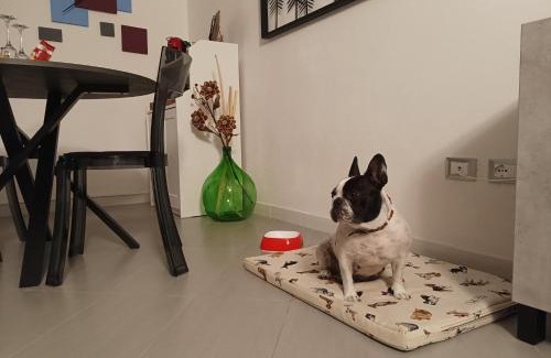 Comacchio Apartment | Pet-Friendly Retreat at CIVICO22 with Exceptional Reviews