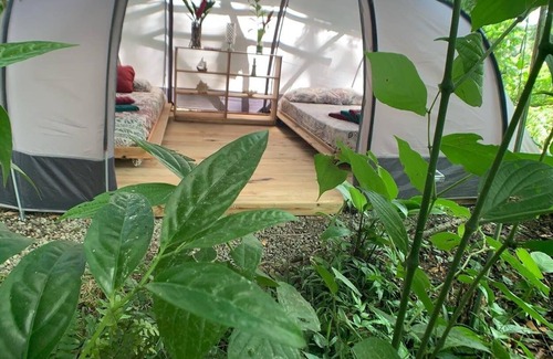 Bocas del Toro RV Rental | Clamping Jungle Bluff Beach Paradise - cozy tent under the monkey tree near the beach