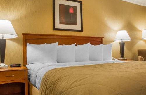 Oswego Hotel | Charming Clarion Hotel & Suites by the River - Pet Friendly