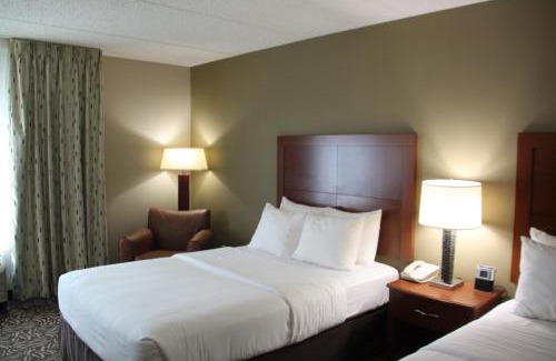 Cortland Hotel | Pet Friendly Getaway at Clarion Inn & Suites - University Area