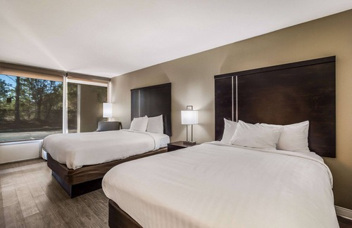 Florence Hotel | Budget-Friendly Stay at Clarion Inn & Suites with Pool