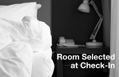 Ste. Foy Hotel | Pet-Friendly Retreat at Clarion Pointe Quebec Airport