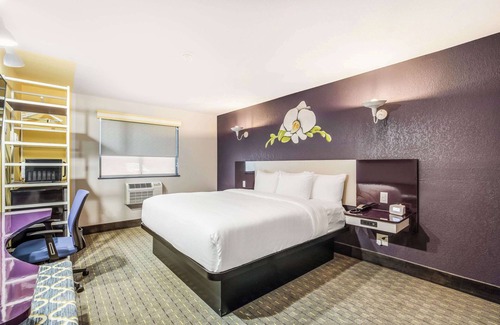 Tallahassee Hotel | Top-Rated Clarion Pointe Tallahassee with Family-Friendly Amenities