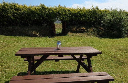County Waterford Cottage | Discover Clash-Brack: Family-Friendly & Pet Welcoming Stay