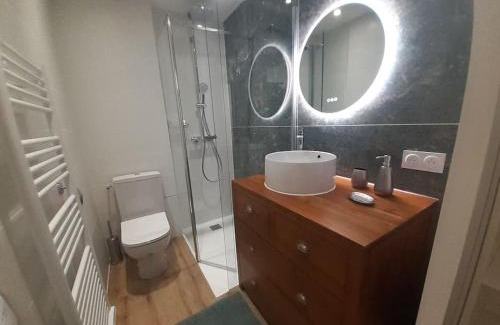 Centre Ville Apartment | Discover Ideal Vienne: Family-Friendly Stay in City Center