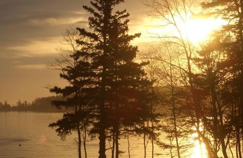 Owls Head Cottage | Classic Maine Cottage - Crafted for Memories