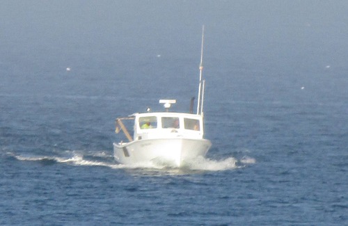 Owls Head Cottage | Classic Maine Cottage - Crafted for Memories