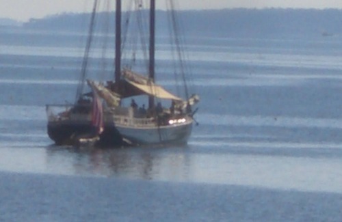 Owls Head Cottage | Classic Maine Cottage - Crafted for Memories