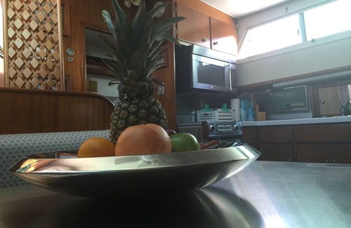 Orange Beach East Boat Rental | Explore Classic Yacht Rentals at FloraBama Today