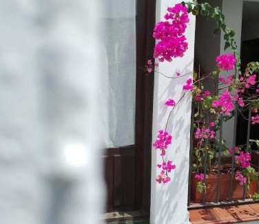 Santiago Apartment | Historic Charm at Claustro Home in Córdoba