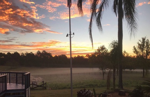 Clermont House | Cozy 1 Bedroom Mobile House with Pool on the Farm
